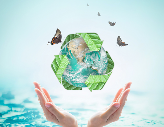 Transparent Product Lifecycle