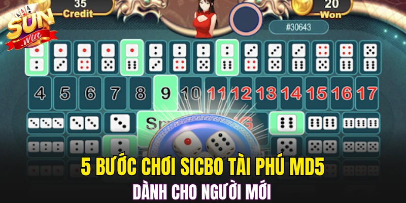 5 bước chơi Sicbo Tài Phú MD5 dành cho người mới