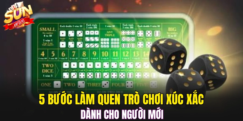 5 bước làm quen trò chơi xúc xắc dành cho người mới