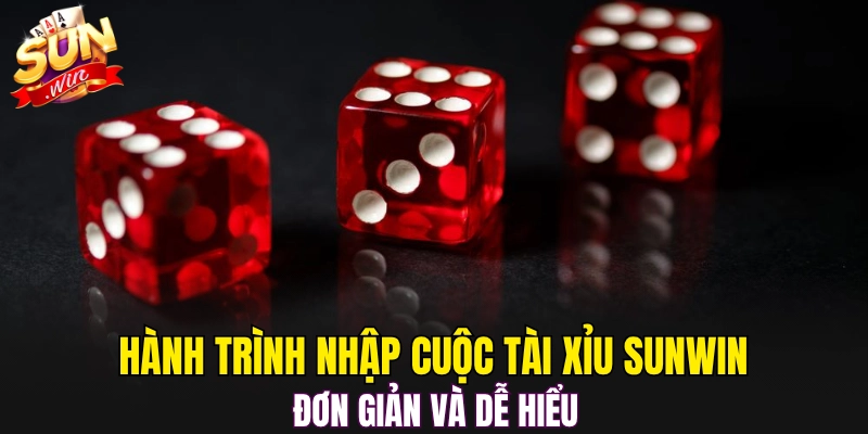 Hành trình nhập cuộc Tài Xỉu Sunwin đơn giản và dễ hiểu 